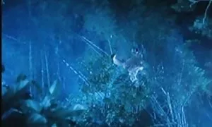 Sex games from the famous movie with elements of pornography
